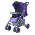  Bambini KING  (violet butterfly)